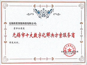 无锡市十大数字化解决方案服务商