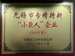专精特新小巨人